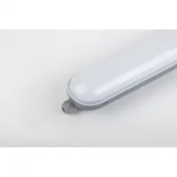 ДСП 36Вт (аналог ЛСП 2х36) 3420Lm 6500К 1200x76x66 IP65  ЭРА/SPP-201-0-65K-036 мат.