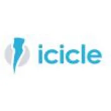 ICICLE — современная модная одежда высокого качества